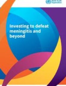 Investing to defeat meningitis and beyond