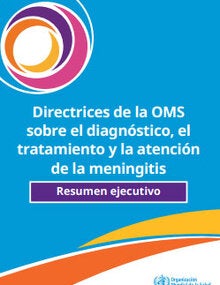Directrices de la OMS sobre el diagnóstico, el tratamiento y la atención de la meningitis: resumen ejecutivo
