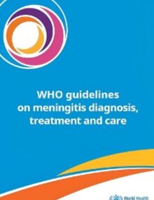WHO guidelines on meningitis diagnosis, treatment and care