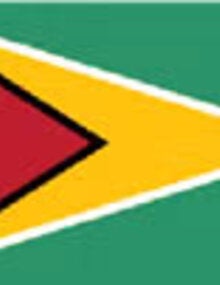 guyana-flag