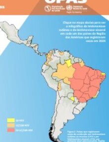 Leishmanioses: Informe Epidemiológico da Região das Américas. N.º 14, dezembro de 2025