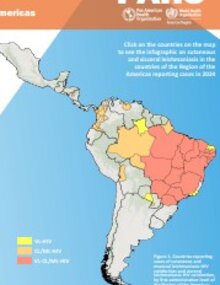 Leishmaniasis: Epidemiological report on the Region of the Americas. No. 14, December 2025