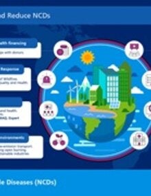 Actions to improve Air Quality and reduce NCDs