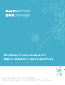 Cover Actualización regional, Influenza y otros virus respiratorios. Semana Epidemiológica 4 (31 de enero del 2025)