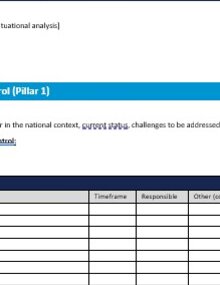 Template for national meningitis plan