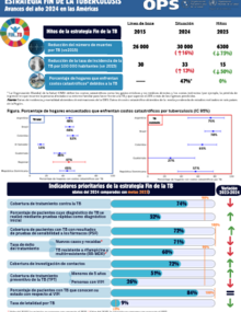 Estrategia Fin de la Tuberculosis: Avances del año 2024 en las Américas