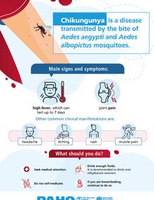 Poster (print): Chikungunya. Signs and symptoms