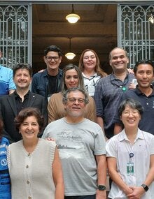 expertos fiebre amarilla Brasil