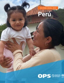 Portada: Informe anual 2025: Perú