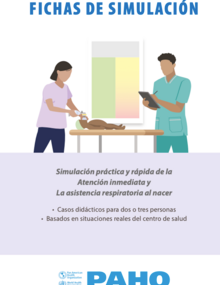 fichas de simulación
