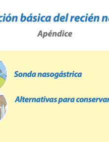 apendice