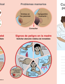 guia cuidados domicilio