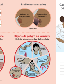 guia para cuidados domicilio