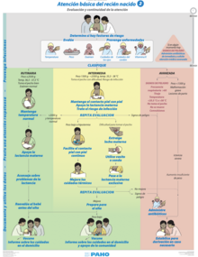 plan de acción 2