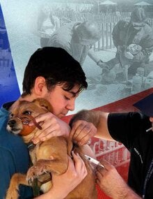 banner validación de la eliminación de la rabia humana transmitida por perro en Chile