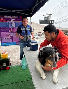 Dog vaccination has been one of Chile's key tools for interrupting rabies transmission and protecting people against the disease.