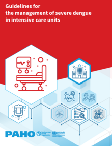 Guidelines for the management of severe dengue in intensive care units