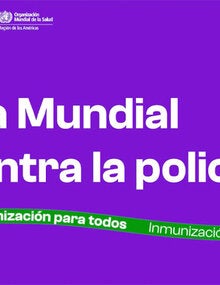 WPD 2025 spa