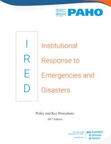 Mountain view. Tree branch with city background