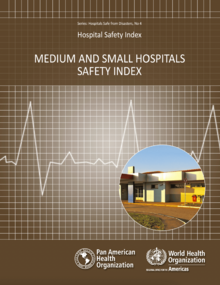 Mountain view. Tree branch with city background