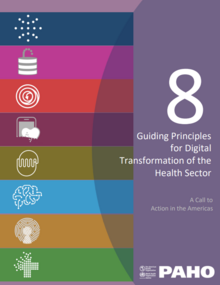 Eight guiding principles for the digital transformation of the health sector