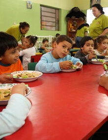  Inocuidad de los Alimentos