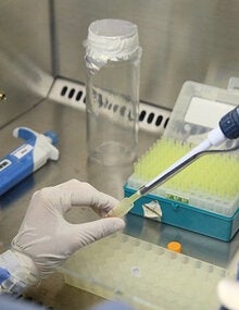 Proceso en laboratorio