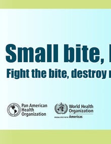 Caribbean Mosquito Awareness Week 2017: Banner web JPG