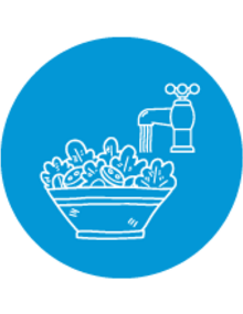 Icono lavado de vegetales