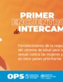 Descargue la presentación