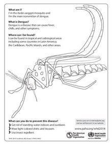 Coloring Sheet - Aedes