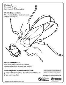 Coloring Sheet -Blackfly
