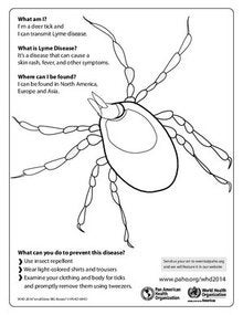 Coloring Sheet - Tick
