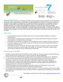 Hojas Informativas: Esquistosomiasis