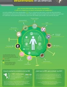 Infografía: Enfermedades infecciosas desatendidas