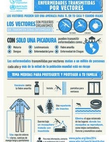 Infografía: Día Mundial de la Salud 2014