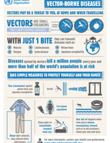 Infographic - World Health Day 2014