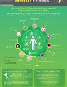 Infographic - Neglected Infectious Diseases in the Americas