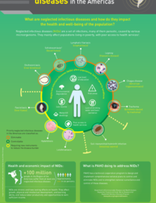 Infographic - Neglected Infectious Diseases in the Americas