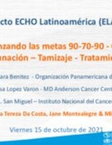 Descargue la presentación