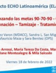 Descargue la presentación