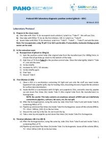 Protocol RSV laboratory diagnosis: positive control (gblock – RSV)