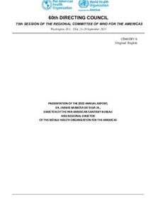 cd60-div-6-e-annual-report-director-rep1