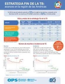 Hoja Informativa: Estrategia Fin de la TB: Avances en la Región de las Américas
