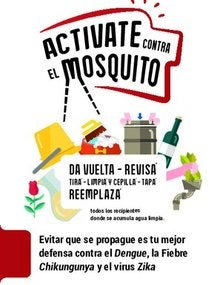 Da la vuelta todos los recipientes donde se acumula agua limpia.
