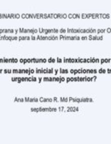 Descargue la presentación