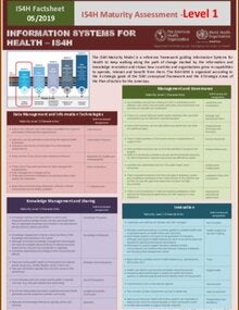 IS4H Maturity Assessment Level 1