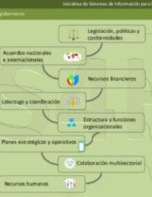 Infographic on management and governance