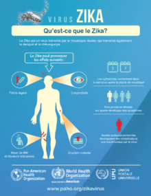 Qu’est-ce que le Zika? - PDF Version 