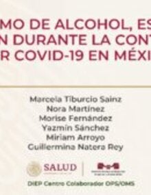 Descargue la presentación